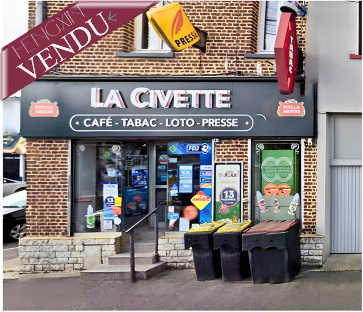 commerce en vente sur AVION (62210)